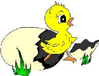 Logo Poules